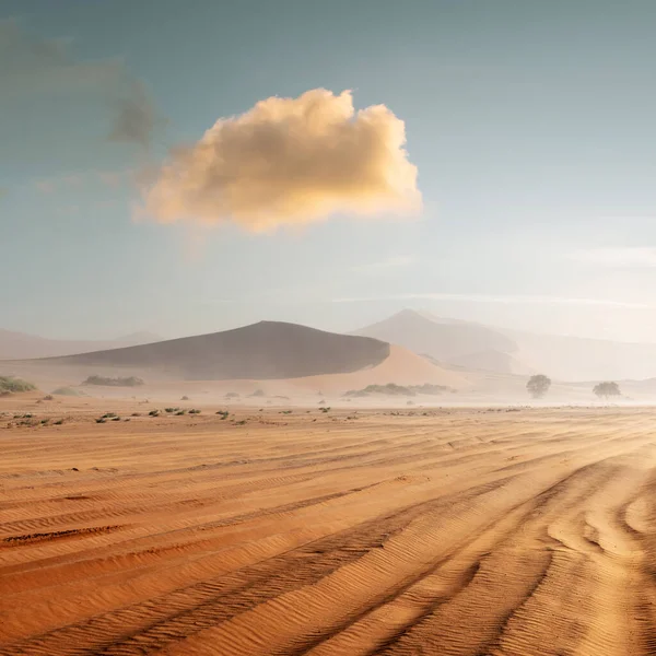 Sossusvlei na pustyni Namib w Namibii — Zdjęcie stockowe