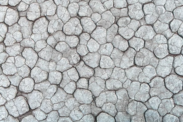 Cracked land texture close up — Photo