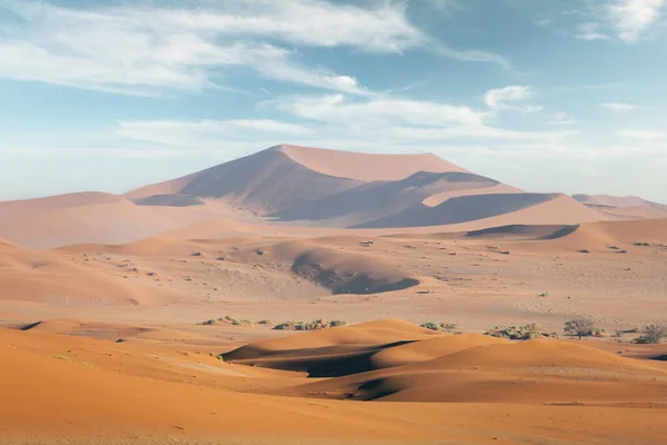 Orange sand dunes and clear sky in Namib desert — Stock Photo, Image