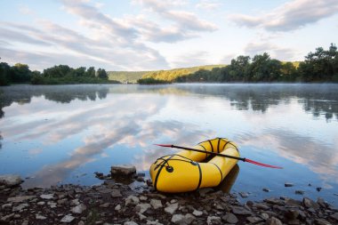 Kırmızı yüzgeçli sarı yük kamyonu.