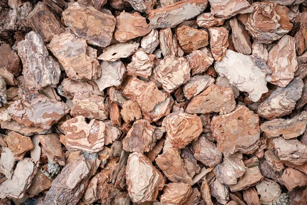Background of pine bark nuggets layer — Stock Photo, Image