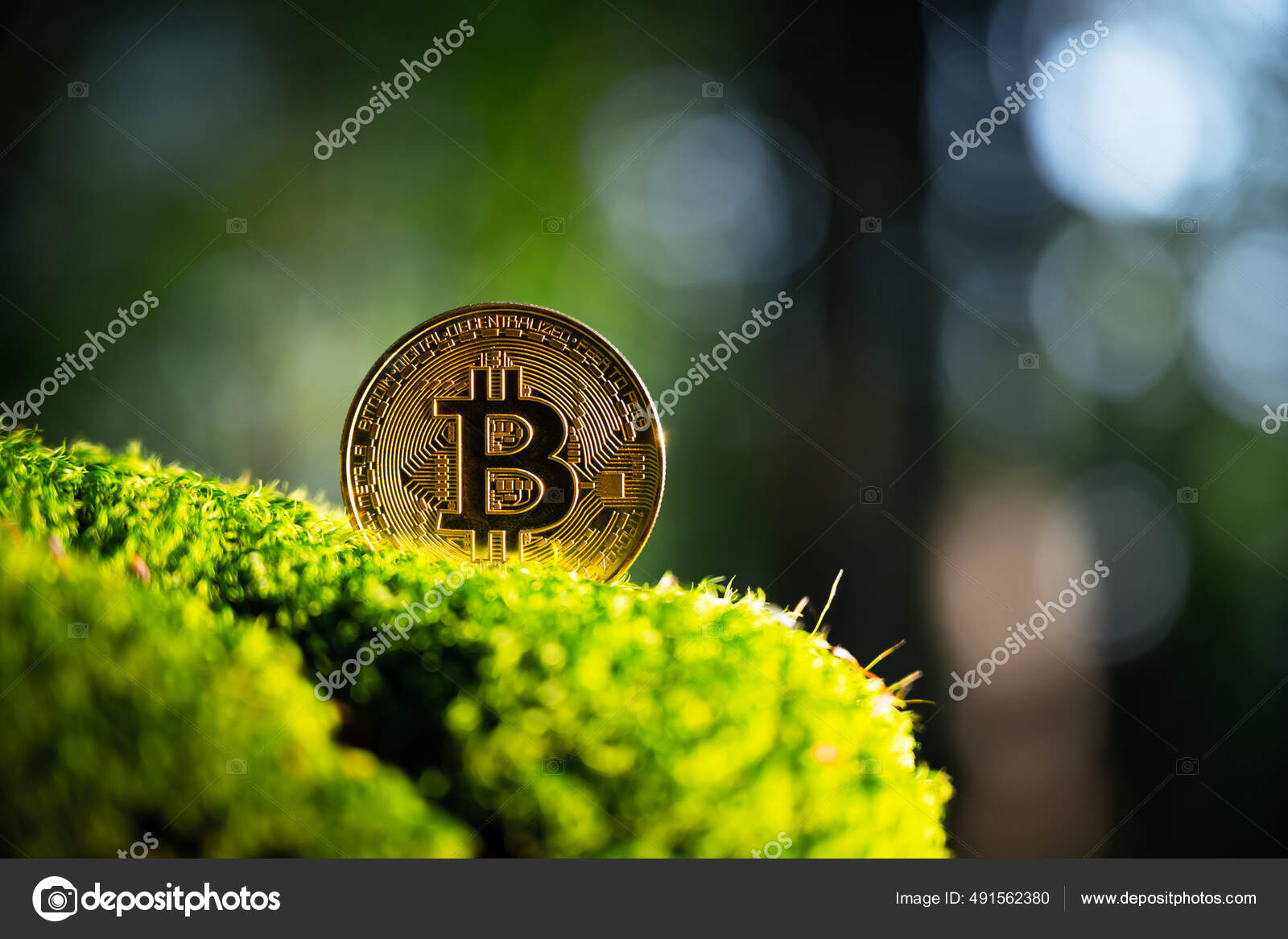 푸른 이끼 위에 있는 황금색 비트코인 — 스톡 에디토리얼 사진 © Ivankmit #491562380