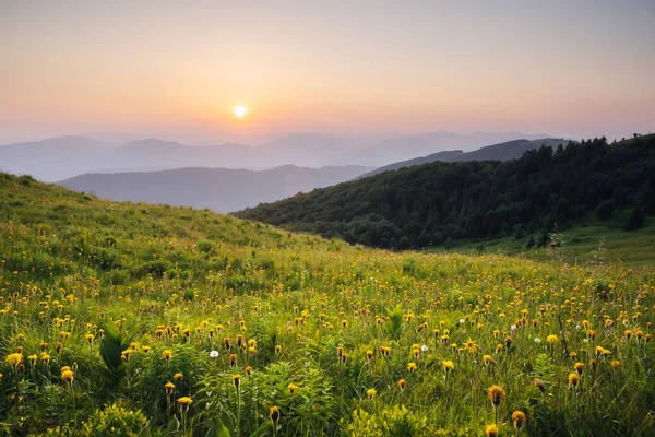 Yaz dağlarında inanılmaz bir manzara — Stok fotoğraf