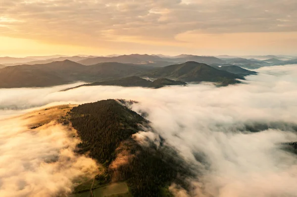 Úžasná ranní mlha v letních horách — Stock fotografie