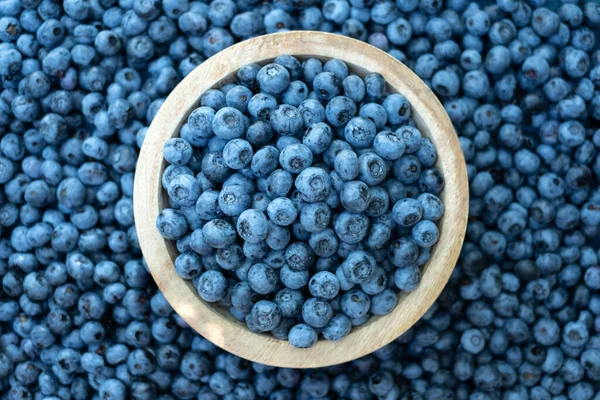 Frische süße Blaubeeren Nahaufnahme — Stockfoto