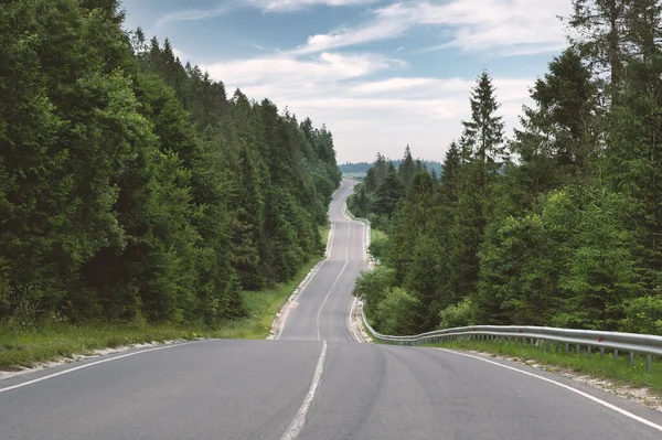 Kurvige Bergstraßenserpentine im grünen Sommerwald — Stockfoto