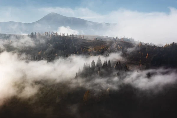 Verbazingwekkende vloeiende ochtendmist in de herfstbergen — Stockfoto