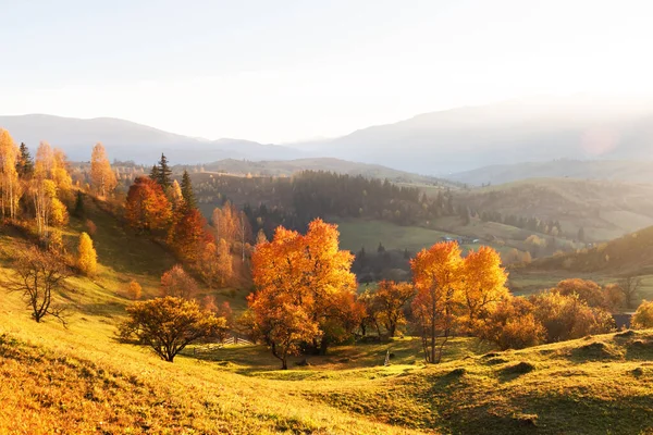 Sonbahar dağlarında inanılmaz bir manzara — Stok fotoğraf