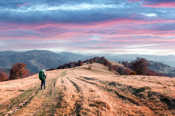 Backpacker vid solig höstäng med apelsinträd — Stockfoto