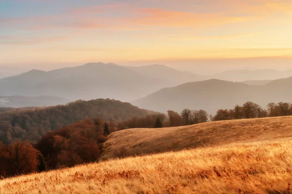 Picturesque autumn mountains with red beech forest — Stock Photo, Image