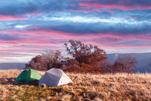 Två tält på fantastisk äng i höstfjällen — Stockfoto