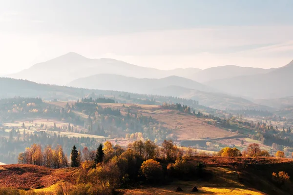 Picturesque autumn mountains with red beech forest — Stock Photo, Image