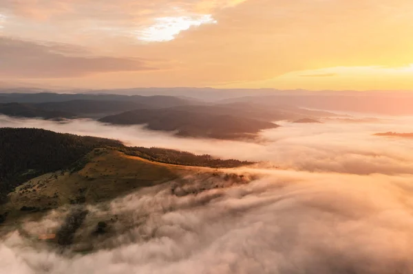 Úžasná ranní mlha v letních horách — Stock fotografie