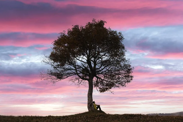 Silhueta de turista sentado sob árvore majestosa — Fotografia de Stock