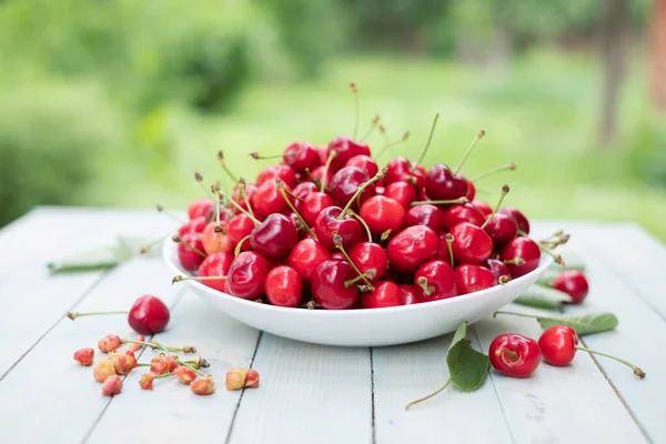 Cherry berry heap with leaves closep — Stock Photo, Image