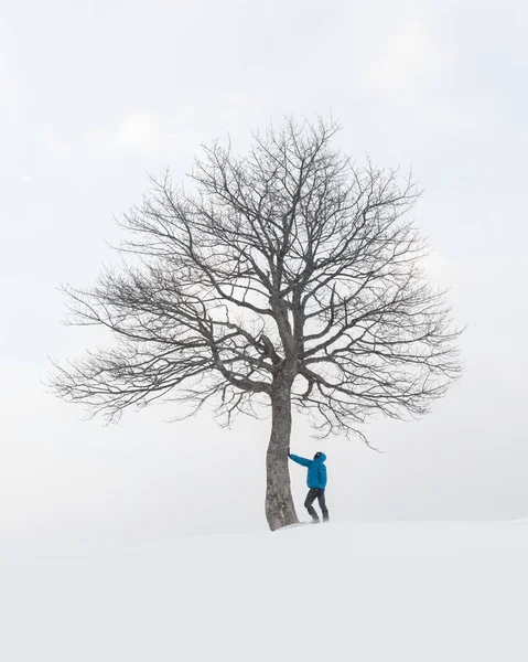 Csodálatos táj egy emberrel a magányos havas fa közelében — Stock Fotó