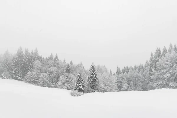 Minimalistisch winterlandschap bij bewolkt weer — Stockfoto