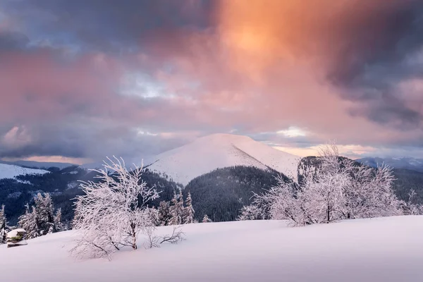 Karlı dağlardaki muhteşem kış manzarası — Stok fotoğraf