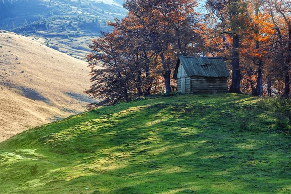 Huis — Stockfoto