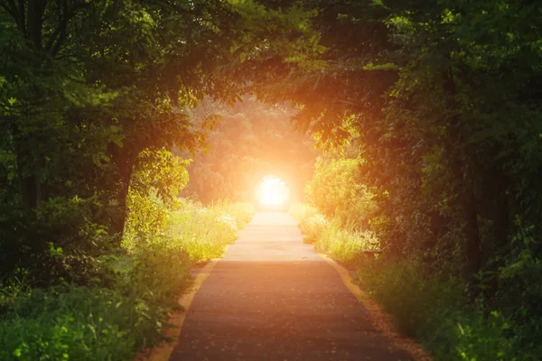 Tunnel — Stockfoto