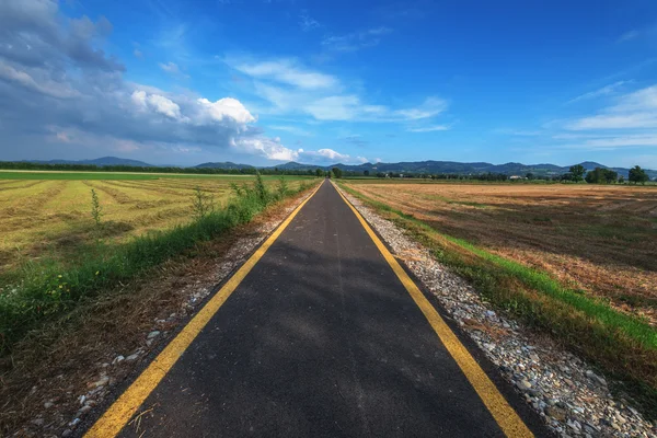 道路 — ストック写真