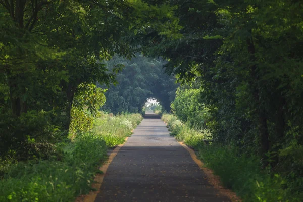 Túnel — Fotografia de Stock