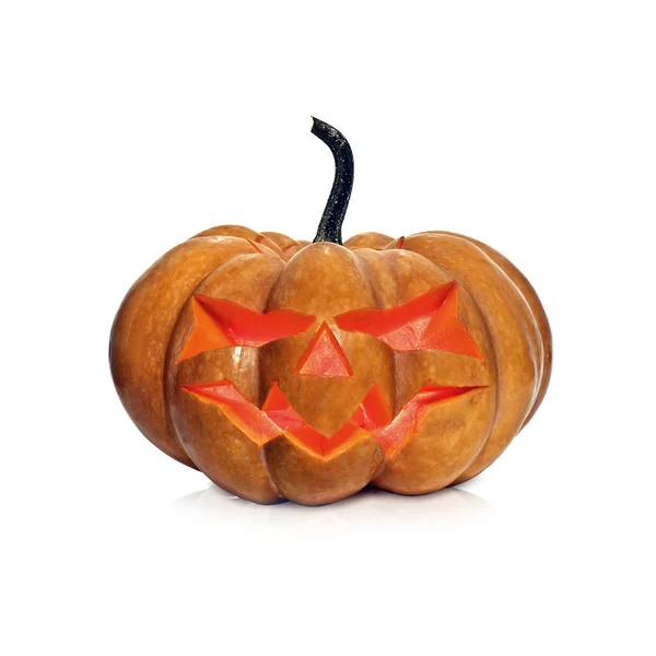 Pumpkin — Stock Photo, Image