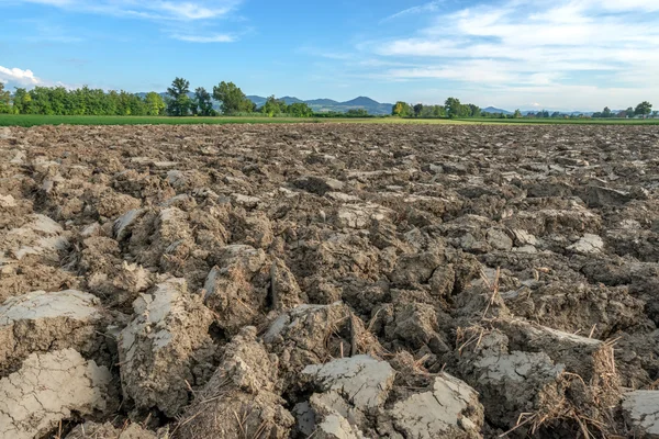 Campo — Foto de Stock