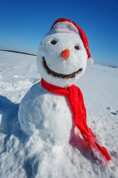 Pupazzo di neve — Foto Stock