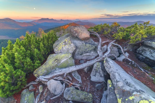 Mountain — Stock Photo, Image