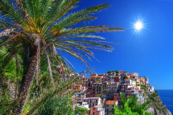 Manarola — Stock Photo, Image