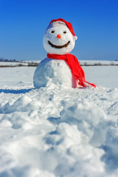 Hombre de nieve — Foto de Stock