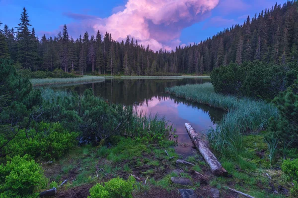 Mountain — Stock Photo, Image