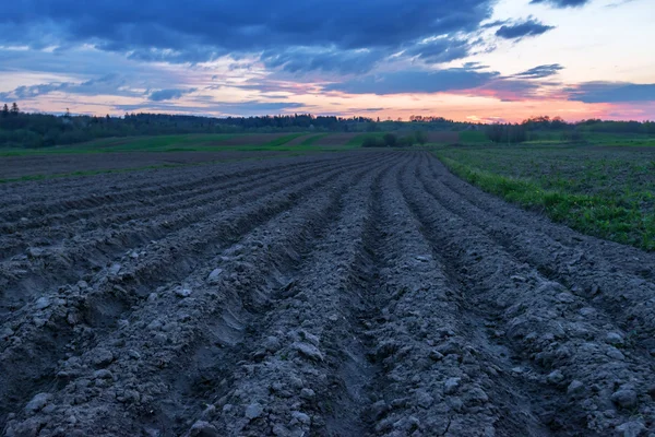 Field — Stock Photo, Image