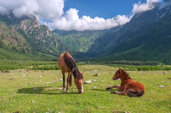 Mountain — Stock Photo, Image