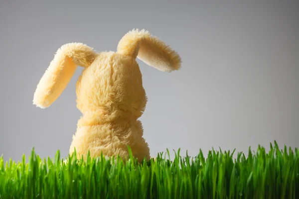 Ostern — Stockfoto