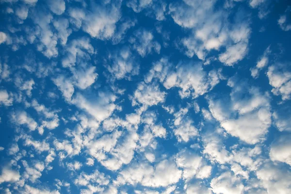 Un cielo — Foto Stock