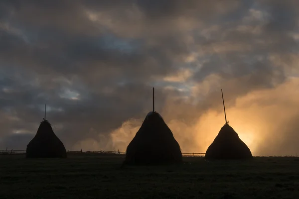 ¡Haystack! —  Fotos de Stock