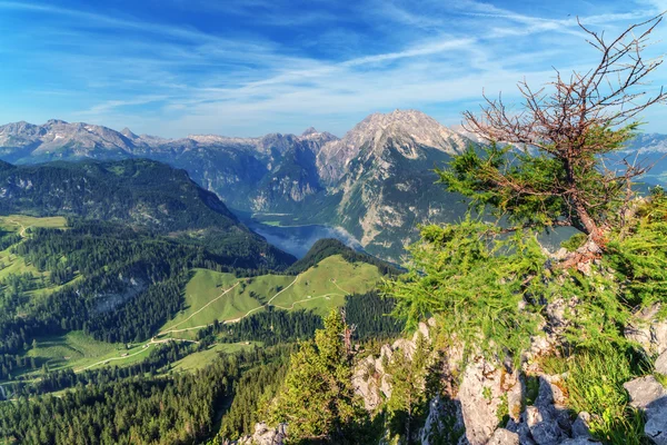 Königssee — Stockfoto