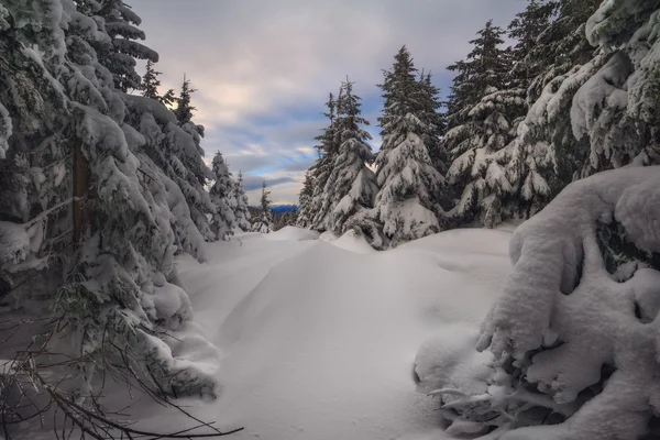 Landscape — Stock Photo, Image