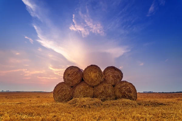 Straw — Stock Photo, Image