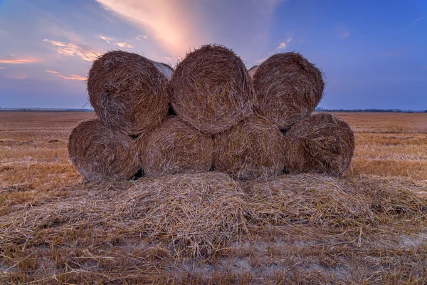 Straw — Stock Photo, Image