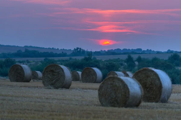 Straw — Stock Photo, Image