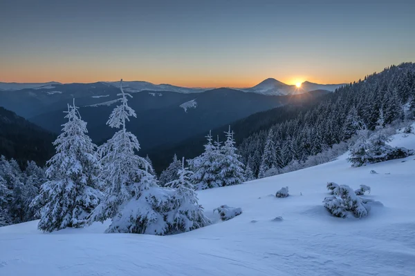 Paesaggio — Foto Stock