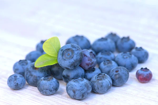 Blueberry — Stock Photo, Image