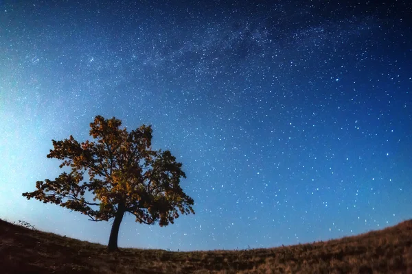 Milkyway — Stok fotoğraf