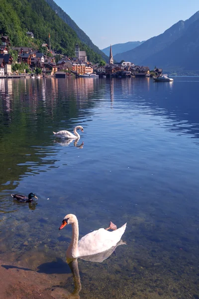 Hallstatt - Stock-foto