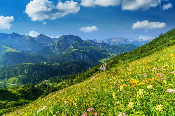 Alpen — Stockfoto