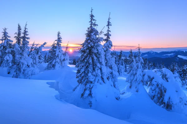 Landskap — Stockfoto