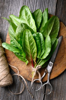 Ahşap tahta üzerinde çiğ kuş yaprakları sicim ve makasla şekillendirilmiş, tepeden çekilmiş. Üst görünüm bileşimi, taze bitkiler, ev yapımı arka plan.